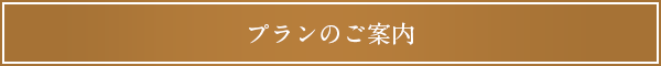 プランのご案内