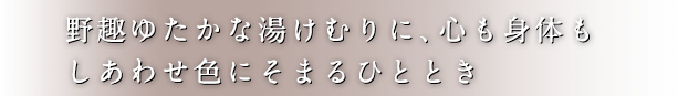野趣ゆたかな湯けむりに、心も身体もしあわせ色にそまるひととき